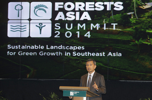 Ministre singapourien: les intérêts économiques provoquent un «vandalisme environnemental»