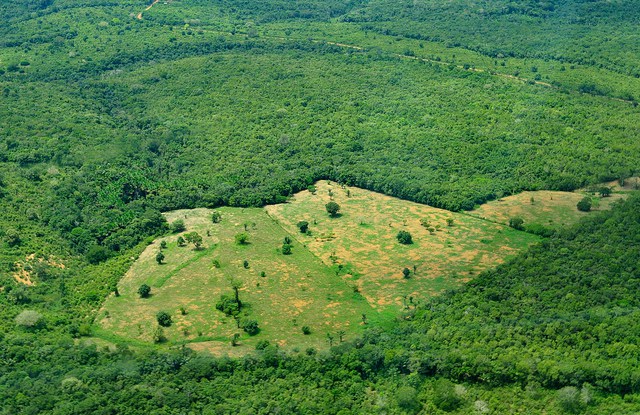 Increasing accountability in the Paris Agreement