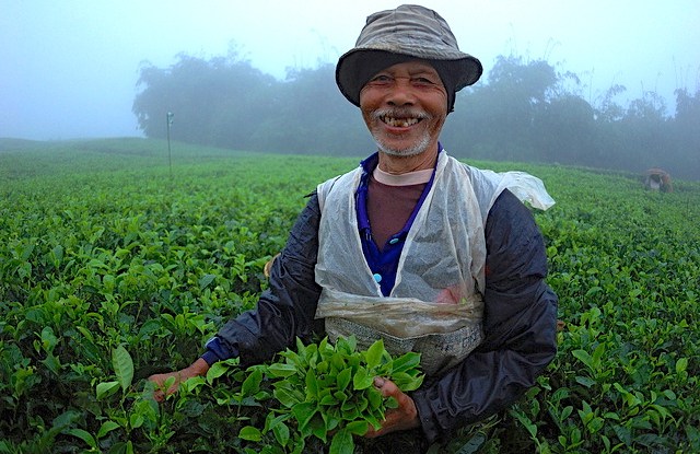 At summit, experts urge expanding equity as pillar of green economy