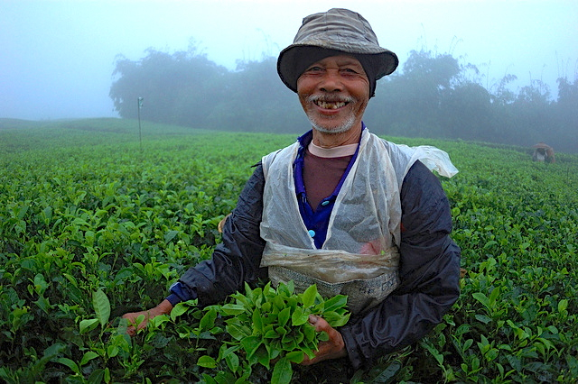 Expertos instan a integrar equidad como pilar de la economía verde