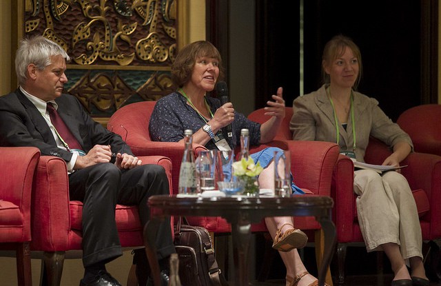 Experts: Forests’ genetic diversity, crucial for adaptability, facing greater risks