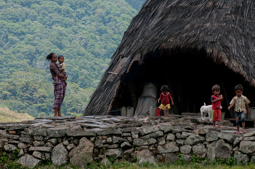 Kemiskinan bukan penyebab penggundulan hutan: Riset global