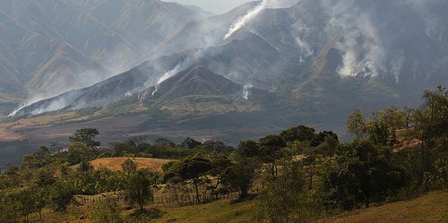 Despite stumbles, Colombia leading the way in ecological restoration