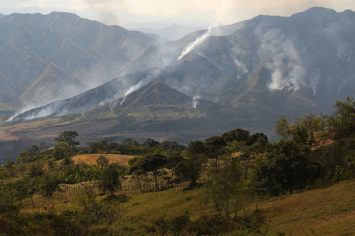 A pesar de algunos tropiezos, Colombia está a la vanguardia en el campo de la restauración ecológica