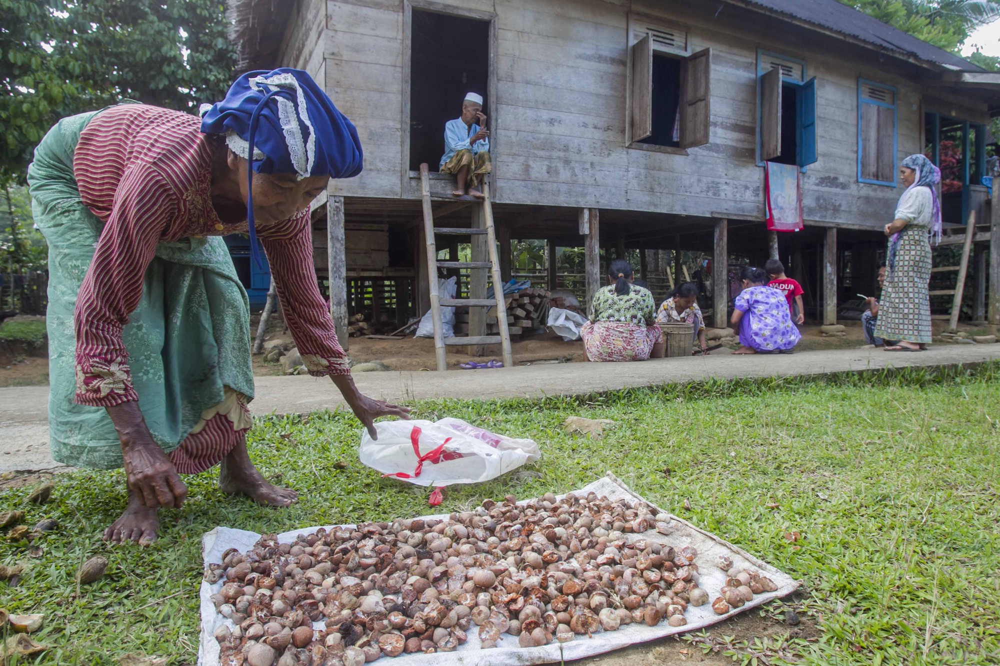 Lindungi hutan demi ketahanan pangan: Pelajaran dari Kalimantan