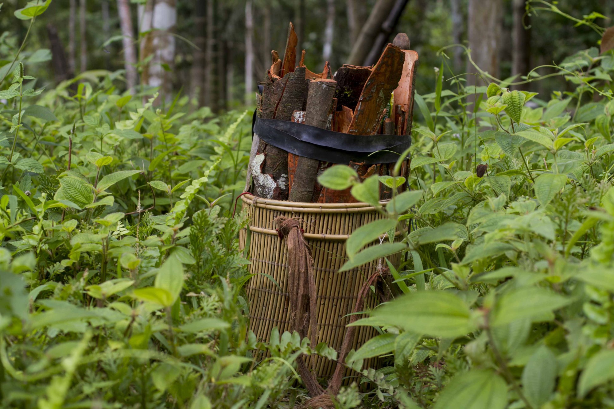Satu tujuan, banyak jalan menuju pembiayaan ‘ekonomi hijau,’ kata panelis