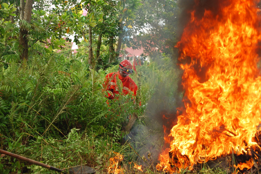 Q&A on fires and haze in Southeast Asia