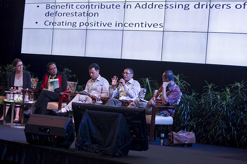 Aliran informasi yang lebih baik diperlukan guna memonitor REDD+: Laporan