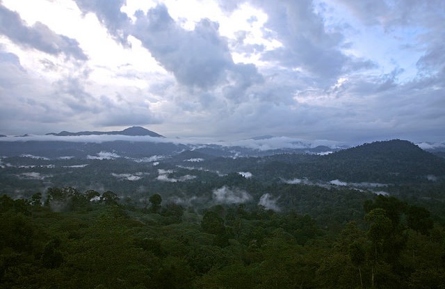 Crossroads in climate negotiations when adaptation and mitigation meet in Bonn