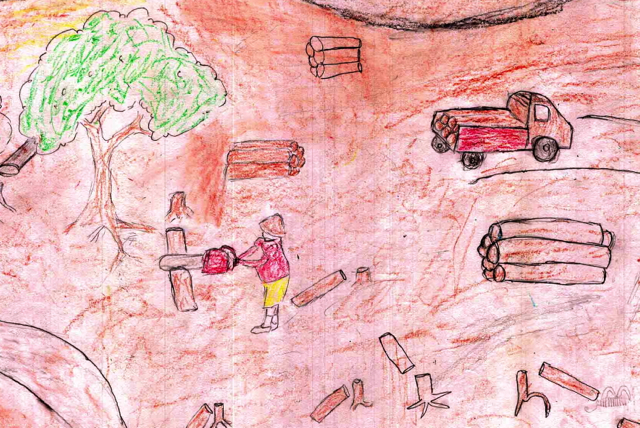 Percepciones de niños sobre bosques ofrecen importantes lecciones acerca del medio ambiente