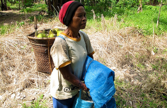 Wawancara: Hilangnya hutan melemahkan keamanan pangan di Indonesia