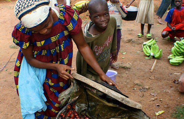 Study gauges relative importance of forest incomes