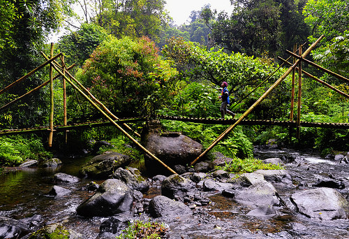 Fokus dalam resiliensi bisa berisiko beralihnya kekuasaan, ilmuwan mengingatkan