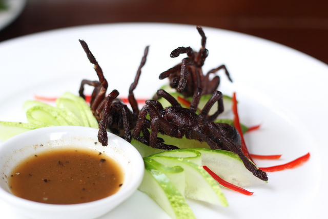 Cambodge : la méfiance paralyse les programmes de protection des forêts