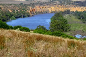 Program seeks to reclaim Australia’s missing woodland