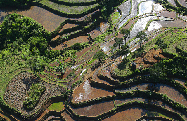 ‘Pendekatan Bentang Alam’ menolak definisi sederhana – dan itu bagus