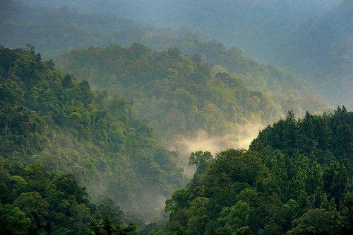  Gede Pangrango in the morning. Photo by Ricky Martin