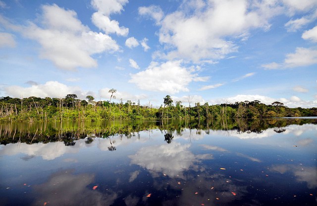 COP22 Special: Progress in Marrakesh