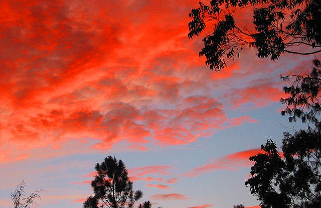 As debates on market-based instruments continue, forests continue to be lost