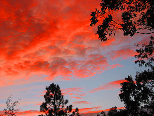 Pendant le débat sur les instruments de marché, la déforestation continue