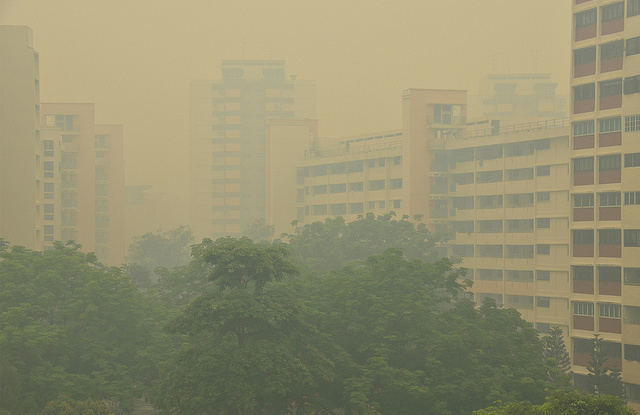 Asap kembali ke Singapura – dan akan lebih banyak lagi, peringatan studi baru