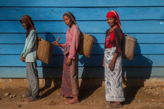 Pedoman baru berusaha meningkatkan pengaruh hutan bagi perempuan