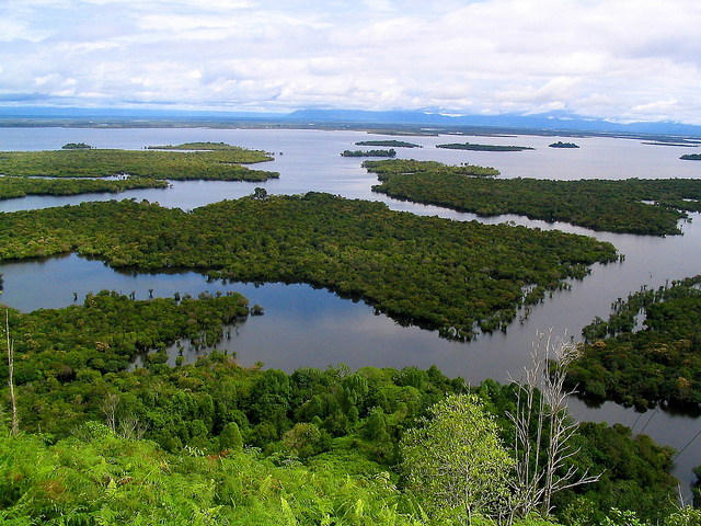 Project ‘discovers’ uncharted forests—and charts new direction in land-use planning