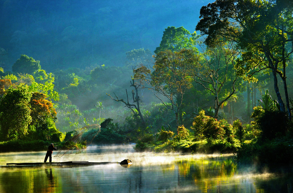 Menos leyes, más comunicación y colaboración se necesitan para proteger los recursos forestales