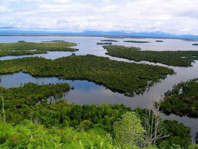 Riset ‘menemukan’ hutan yang belum dipetakan-dan mengarahkan rencana tata guna lahan