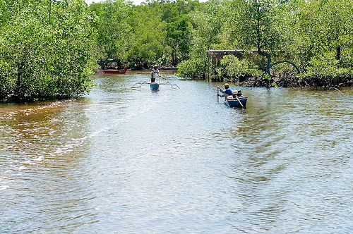 Riset safeguards tentang partisipasi lokal, berbagai pandangan tahap awal inisiatif REDD+