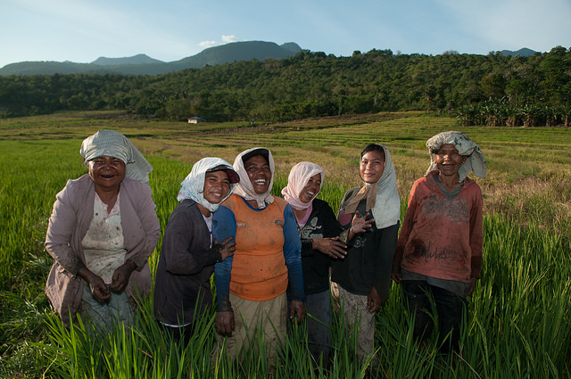 Lecciones: cuatro condiciones para incluir a la población local en las actividades de REDD+
