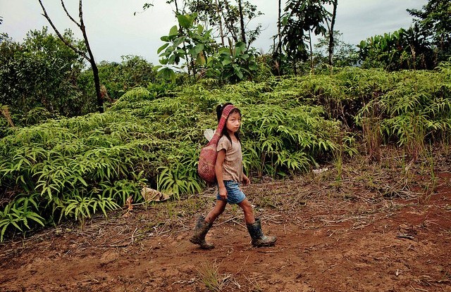 Beyond dialogue: building trust to save the people’s forests and support development