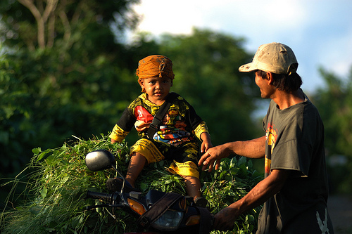 Dialog: Membangun kepercayaan guna menyelamatkan hutan rakyat & mendukung pembangunan