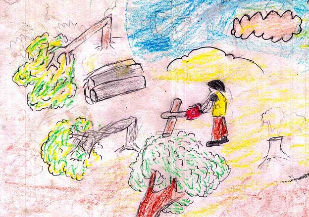 Best of 2014: ‘There will be no birds or monkeys because the forest will be gone’