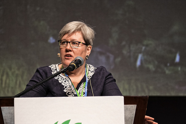 Climate goals not achievable without landscape-level focus, says World Bank VP
