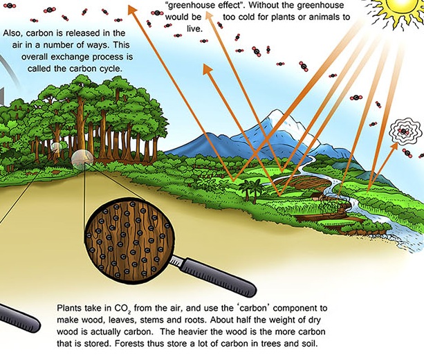 Karbon 101: Berhadapan dengan suatu topik rumit, ilmuwan harus kreatif