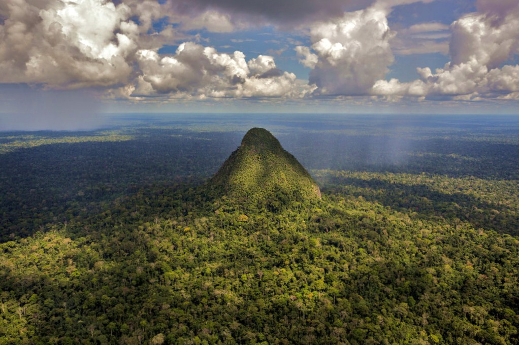 La REDD+ sur le terrain : aperçu des leçons à retenir sous les tropiques