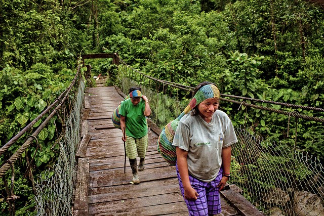 Cambios globales y cambio climático alteran los medios de vida y la seguridad alimentaria en la Amazonía