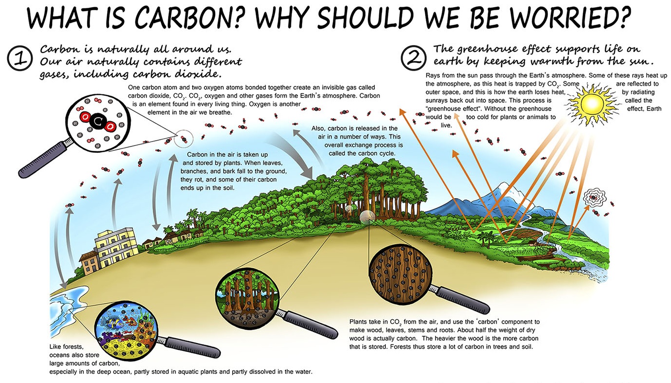 Carbone 101 : des scientifiques créatifs expliquent un sujet complexe