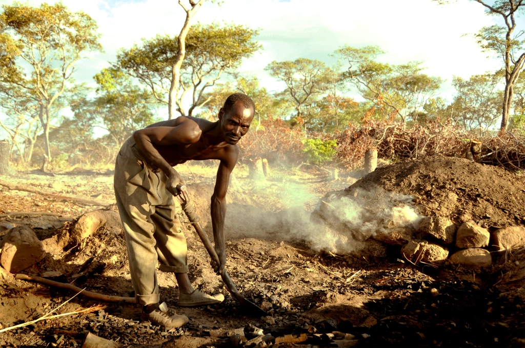 Les approches paysagères ont la cote en Afrique