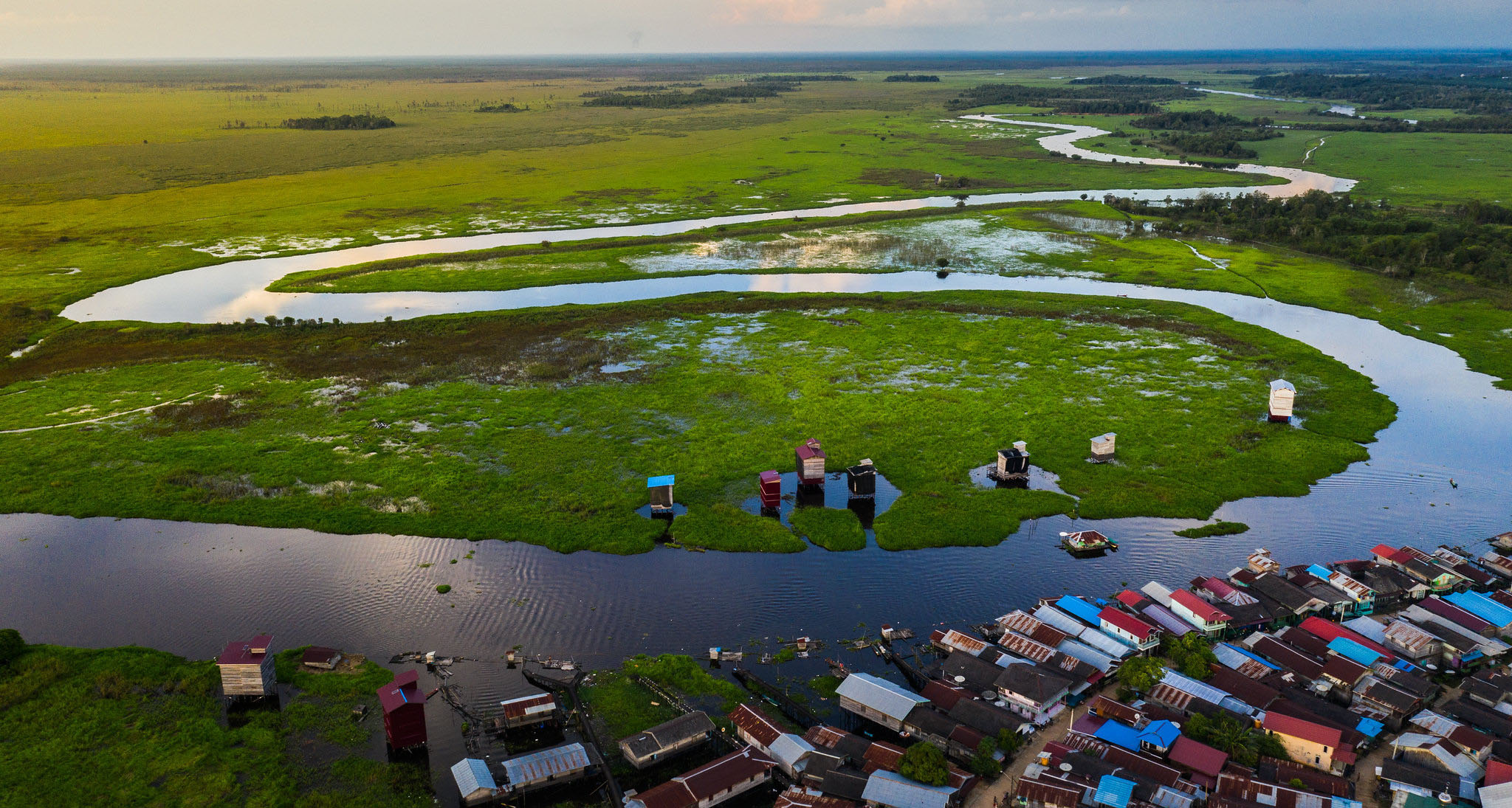 Les pays des zones humides tropicales affinent les niveaux d’émission de référence pour les forêts (NERF)