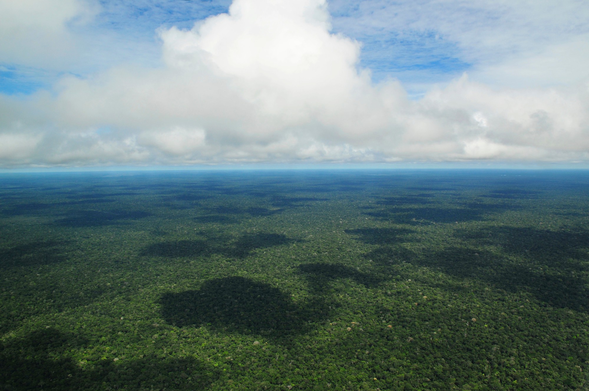 Voices of REDD+: in a vast Amazonian district, coalitions and carrots bring hard-won successes