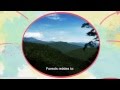 Pensemos en los bosques