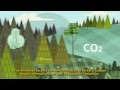 Sistema Nacional de Monitoreo Forestal