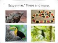 Desierto vs Paraiso (Desert vs Paradise)