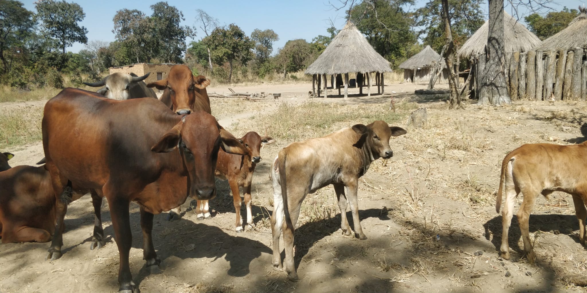 Private-sector engagement through integrated landscape approaches urged