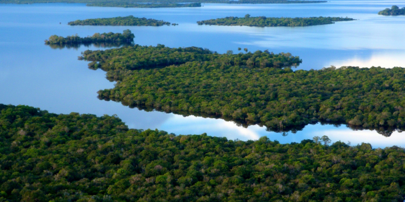 Teknologi pantau hutan lensa tinggi mencoba meredam perubahan iklim
