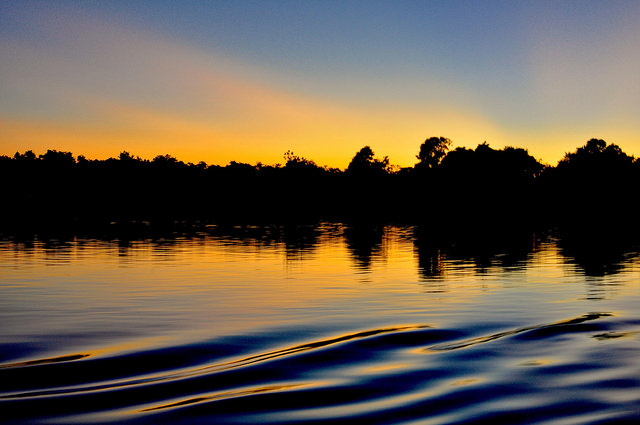 It’s a forest, not a ‘museum’: What sustainable development means in the tropics