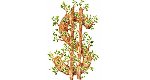 Forests, Land Use and The Green Climate Fund: Open for Business?