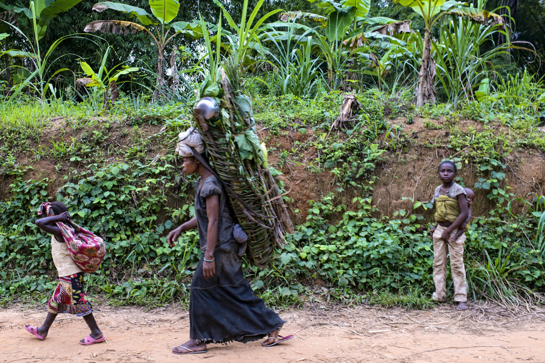 Développement en Afrique : lier faune sauvage et alimentation